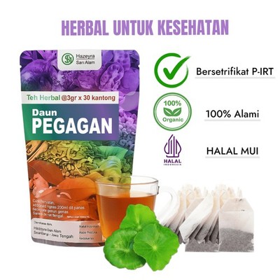 Pegagan (Gotu Kola) Kräutertee 30 Beutel Indonesisch