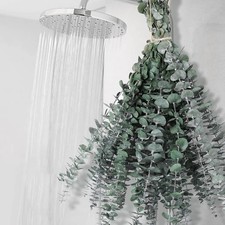Preserved Eucalyptus Shower Plant 12 PCS 17 Inch Dried Stems