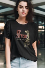 Led Zeppelin Hermit Stairway to Heaven T-Shirt Vintage Rock Band Tee