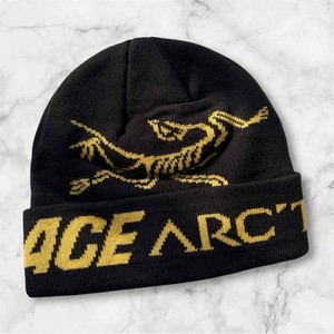 Palace Arc`teryx | eBay