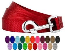 Country Brook Petz® 1 Inch Nylon Dog Leash