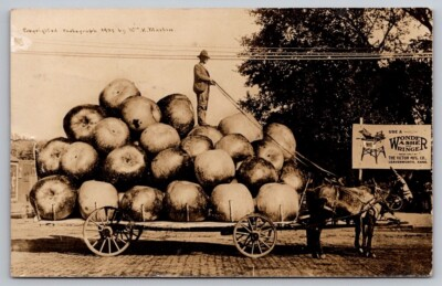 #ad #ad Exaggeration RPPC Postcard Martin Load Apples Wagon Mule Wonder Washer Wringer $9.76