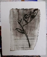 AGAPITO MINIUCCHI Splendida Pregiata PUNTASECCA   47x39