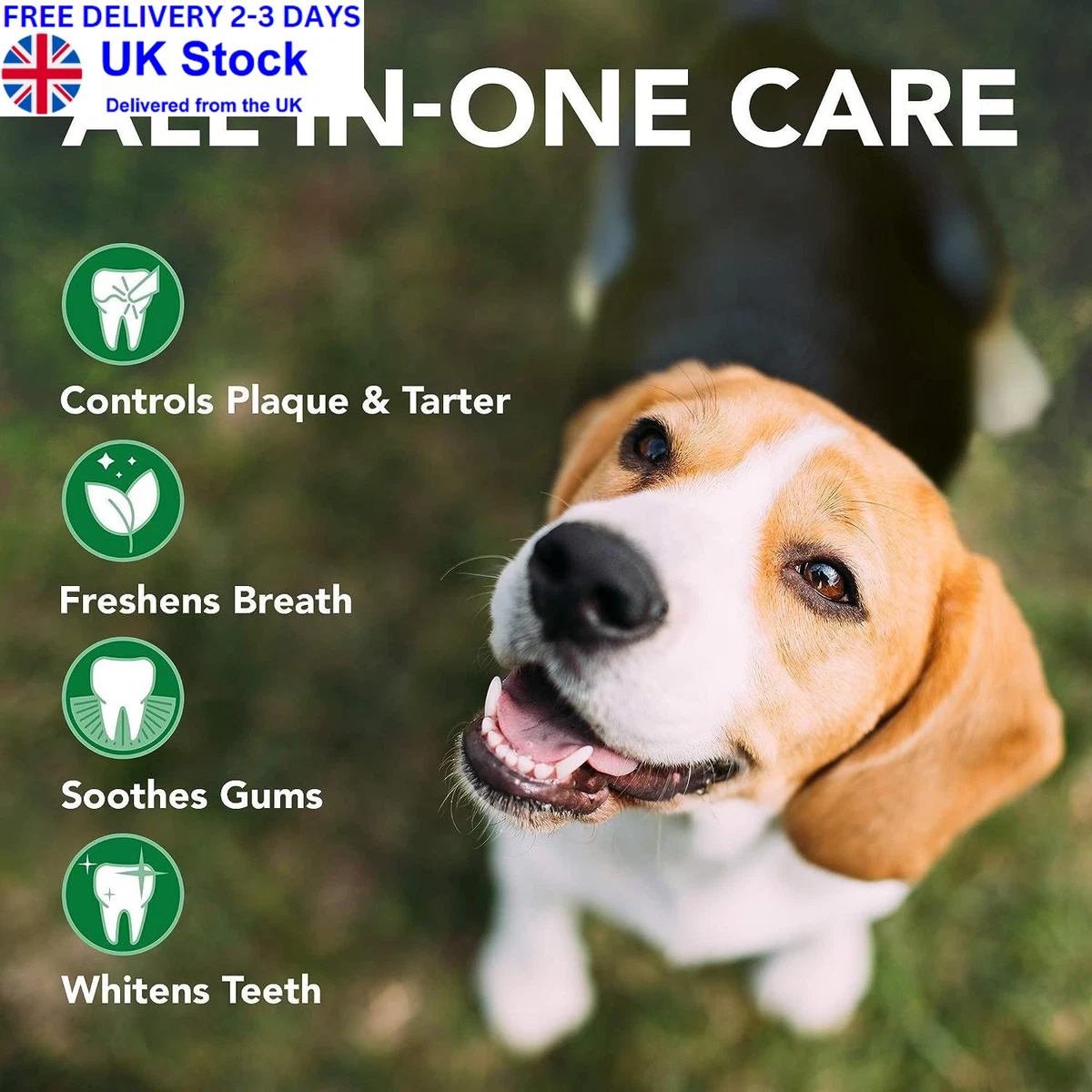 Best dog toothpaste uk cheap