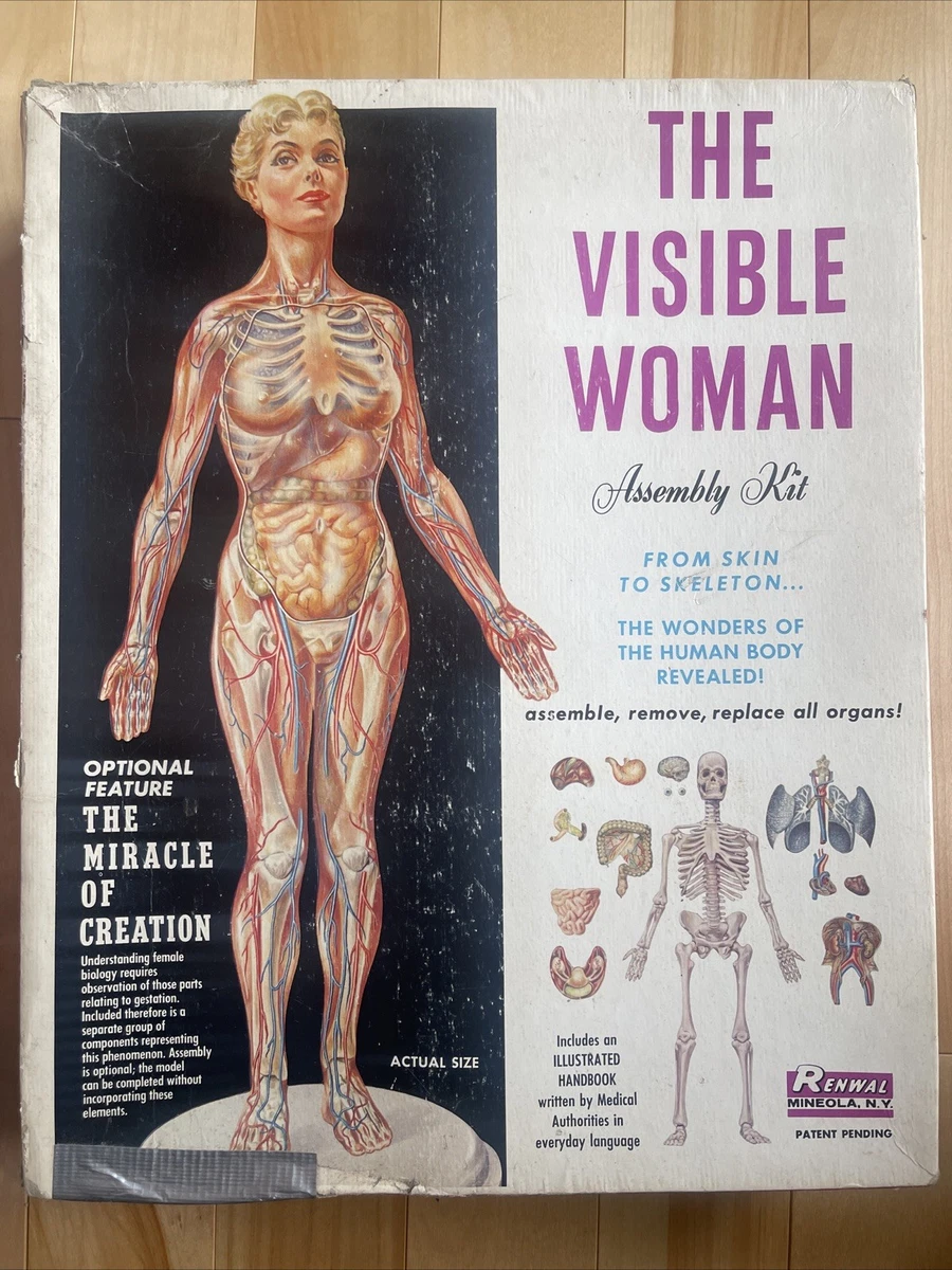 visible woman products for sale | eBay