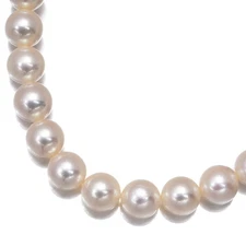  Akoya Pearl 8.5-9.0mm Necklace Silver 