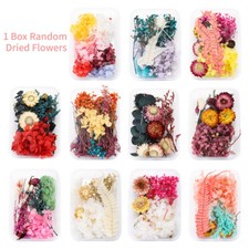 Dried Flowers Bulk DIY Specimen Plant Aromatherapy Candle Resin Making Craft