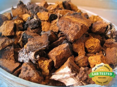 Organic Canadian Dried Chaga Mushroom Chunks 1 Pound Wild Harvested