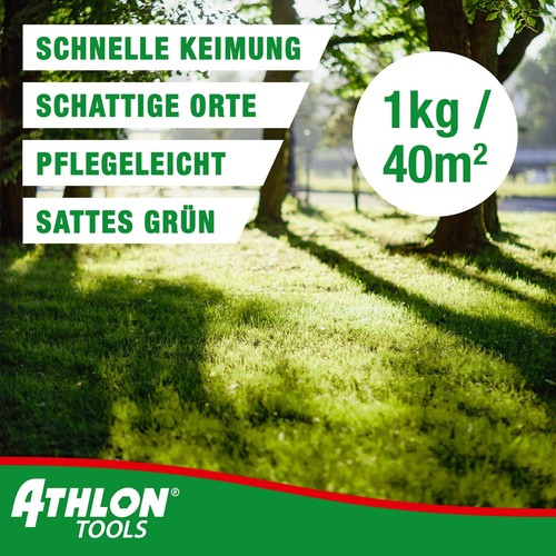 Graines de gazon ombragé 1 kg/40 m² pour le printemps à germination rapide se... - Foto 2 di 6