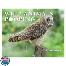 2026 Wall Calendar - Gag Gifts 12-Month Calendar 2026 from Jan. 2
