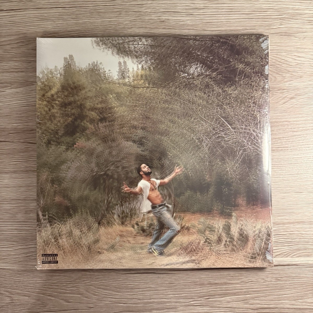 Kid Cudi Speedin' Bullet 2 Heaven vinyl | eBay