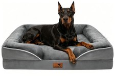 Spotted Play Orthopedic Dog Bed with Sides - Dog Sofa Beds for Extra Large Do...