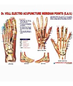 Acupuncture Hand Chart