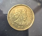 Canada Lucky Loonie Sochi Olympics One Dollar Coin