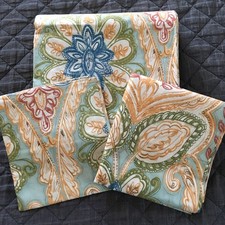 Pottery Barn Catrina Full/ Queen Duvet Cover 2 Standard Shams
