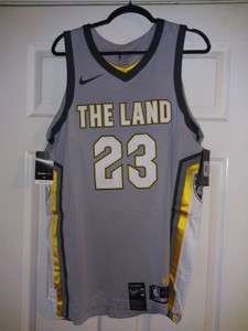 the land lebron jersey