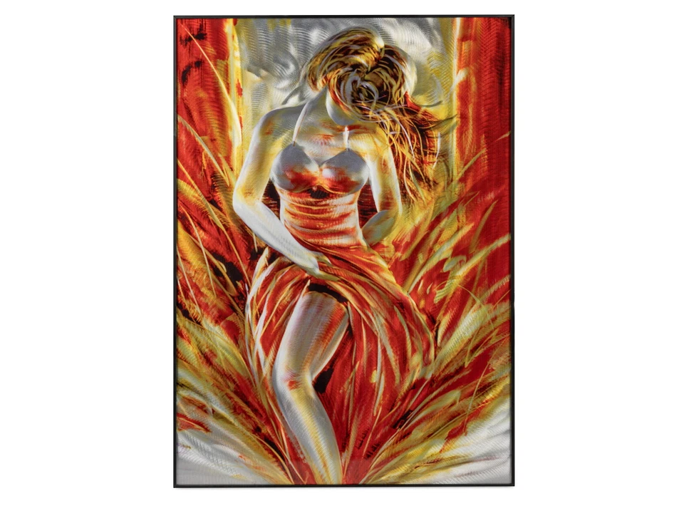 Wunderschönes 3D Wandbild Dame aus Aluminium staubschutz beschichtet 50x70 cm - Bild 1 von 1