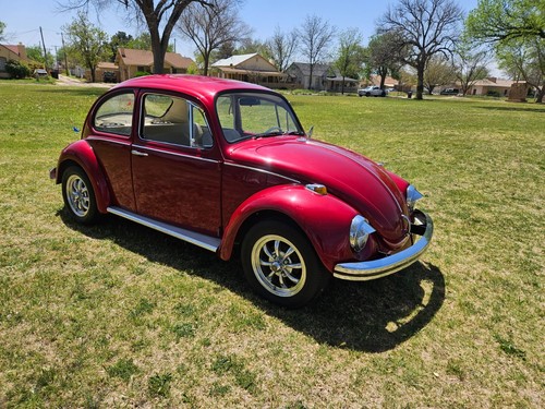 1969 Volkswagen Beetle - Classic - Picture 6 of 12