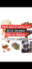 Mushroom Liquid Culture Mycelium Syringes, 10 ml, Pick Any 8, Mix or Match