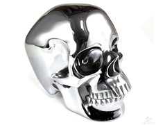 Huge 5.0" Tera-hertz Carved Crystal Skull,Super Realistic, Crystal Healing