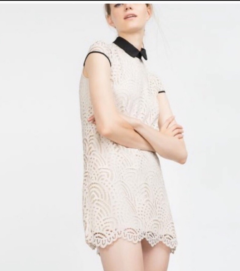 Zara Ivory Lace Short Sleeve Dress | eBay