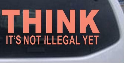 Calcomanía para ventana Think Its Not Ilegal Pero Divertido Coche Camión Política 10X3,7 - Imagen 17 de 32