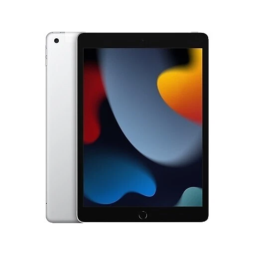 Apple 256 GB Tablets & eReaders