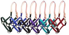 Leather Crown HALTER Triple Ply Nylon Adjusts on Both Sides BRASS Hardware