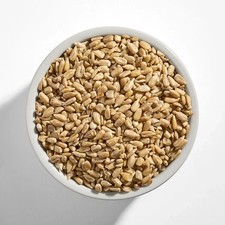 Bulk Raw Sunflower Seeds 5 lb.