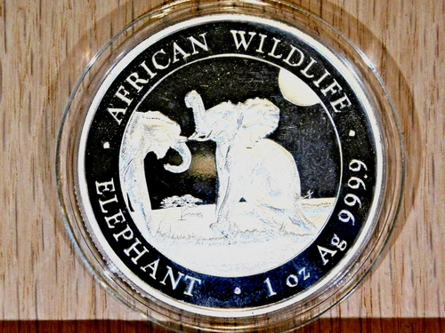 2024 Somalia Silver Elephant 1 oz — photo from the most recent tracked eBay sale