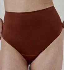 SPANX Satin Shaping Burnt Rust Thong Panty Womens Sz Plus 3X 40063R