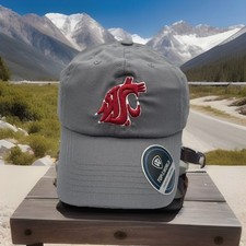 Sombrero de pumas del estado de Washington vestuario TOW gris cielo gorra con tirantes H84