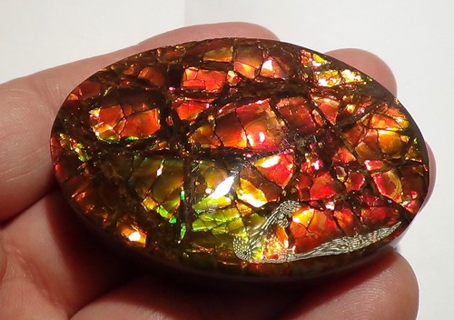 350 Carat.!! I Sammler Ammolite /Drachenschuppe Rot Grün-Golden-Orange + VIDEO - Picture 4 of 6