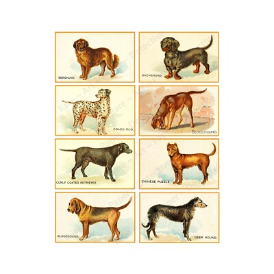 Dog Illustrations, Antique Dog Drawing Stickers, Clip Art CUT & PEEL SHEET