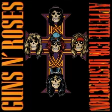 GUNS N' ROSES APPETITE FOR DESTRUCTION LP REMASTERED 180g VINYL EU PRESSING New