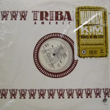 Hidden Agenda - Story Of My Life - Used Vinyl Record 12 - R2508z