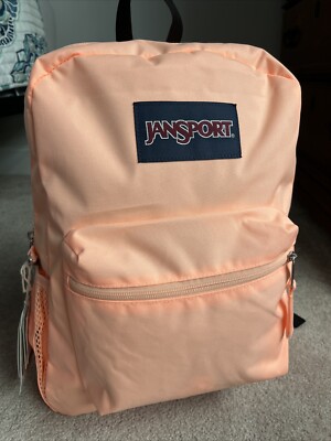 north face backpack jester atomic pink dramatic plum THE Women's Everyday Laptop Long Trail Color:DOGS Flambeau Lil' Brute Small and cables