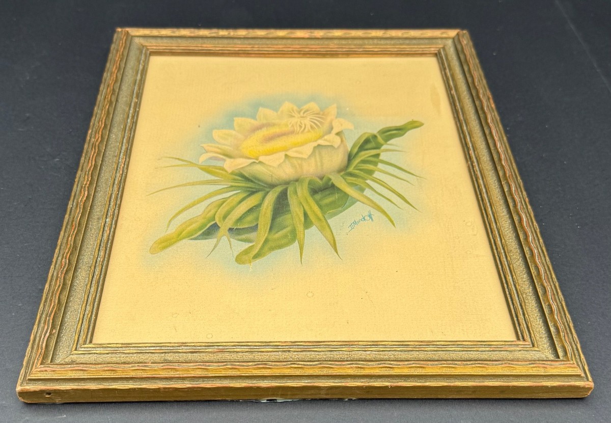 Vintage Framed Floral Print – White and Yellow Bloom 11.75x9.5 | eBay