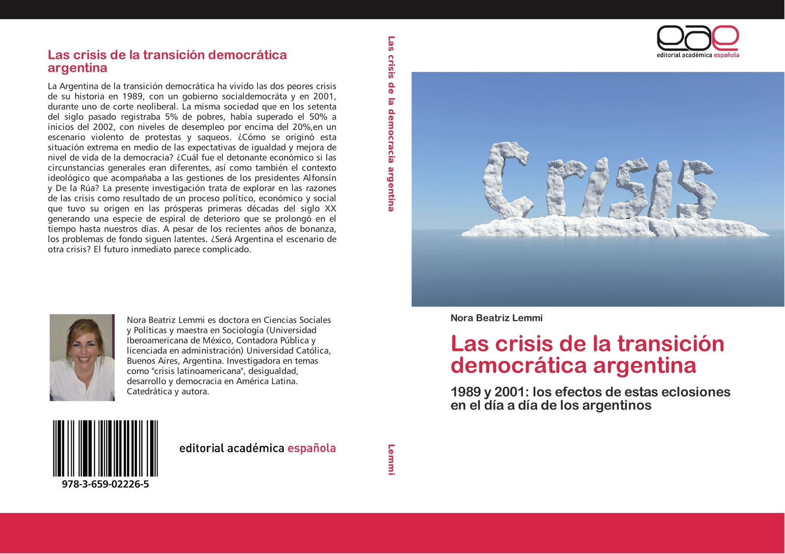 Thumbnail - Las Crisis De La Transición Democrática Argentina Nora Beatriz Lemmi