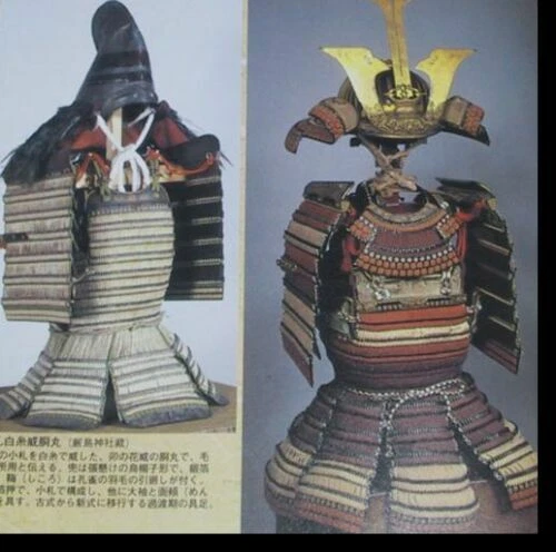 Libro 118 Famosos Señores de la Guerra Daimyo Shogun Armadura Espada Historia Samurái Japonesa - Imagen 5 de 8