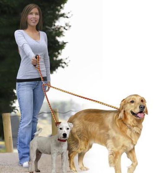 double walking leash