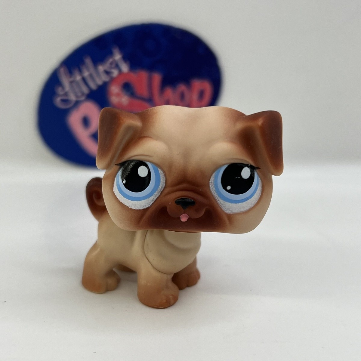 その他 PUG 1st COLOR what-color-is-she-v0-