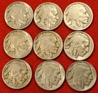 1920-29 P Buffalo Nickels 9 Coins one from each year BN550