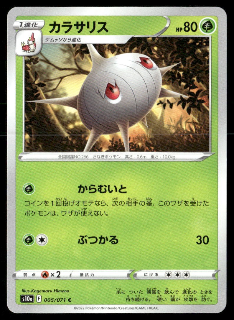 Silcoon Dark Phantasma 005 Common Pokemon Japanese Near Mint