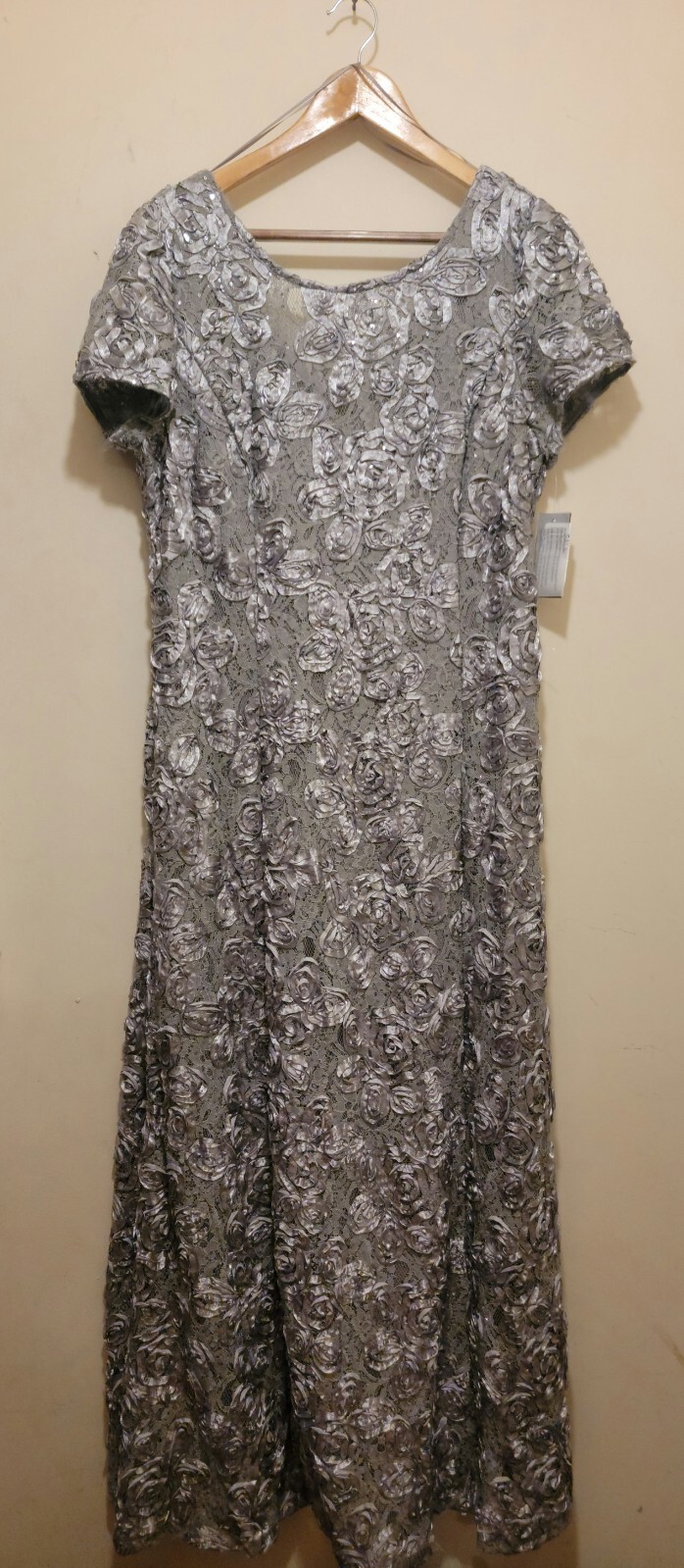 Alex Evenings Women's Embellished Lace A-Line  Gown Dove Sz 18 image 2