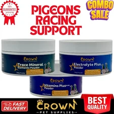 BEST Racing Pigeons Supplement Formula The Enhance Speed and Endurance In Race