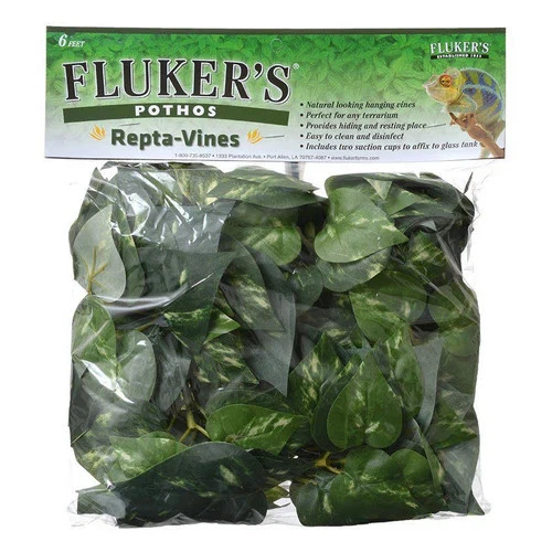 Pothos Repta-Vines 6' Long By Flukers