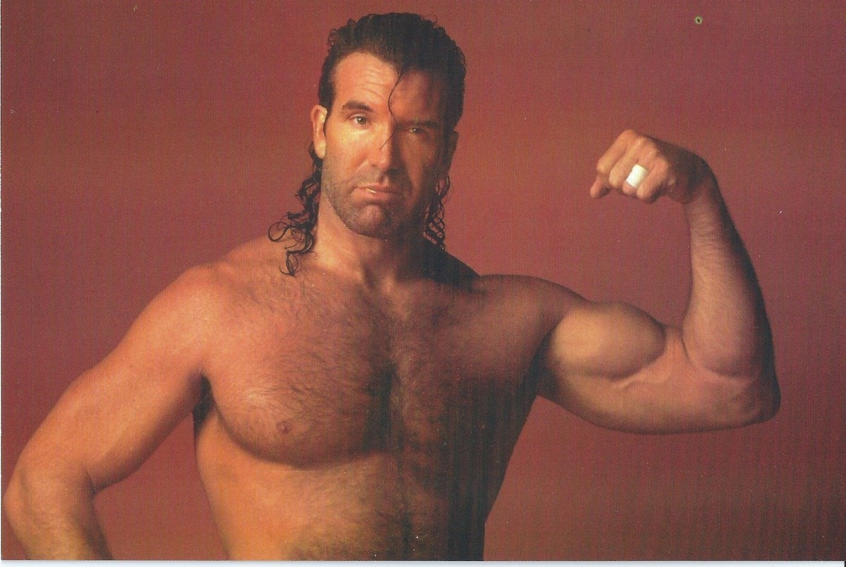 スポーツ選手 nWo&HALL Scott Hall 1998 Panini WCW NWO Superstars Photocards Wrestling