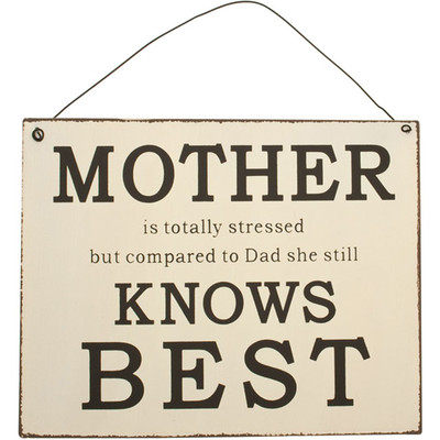''YOU'RE ONLY YOUNG ONCE, BUT YOU CAN BE...'' Vintage 50s Blechschild Rockabilly
