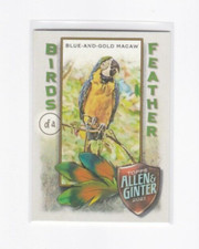 BLUE & GOLD MACAW 2021 ALLEN & GINTER BIRDS OF A FEATHER INSERT CARD-SHIPS FREE